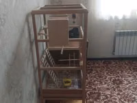 2 dənə quş verlir təcili satılır aşağı yeri də var — zdjęcie 2