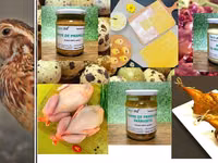 Prepelite: carne, oua, taietei, afumate, marinate, congelate, maioneza, pate, carne inabusita etc.. — फ़ोटो 5