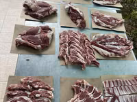 ஆண் ஆடு, ஆடுகள் — புகைப்படம் 6
