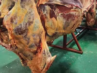 Уй эти тендер тендер для продажи мясо Говяжьи полутуши и четвертины — sawirka 2