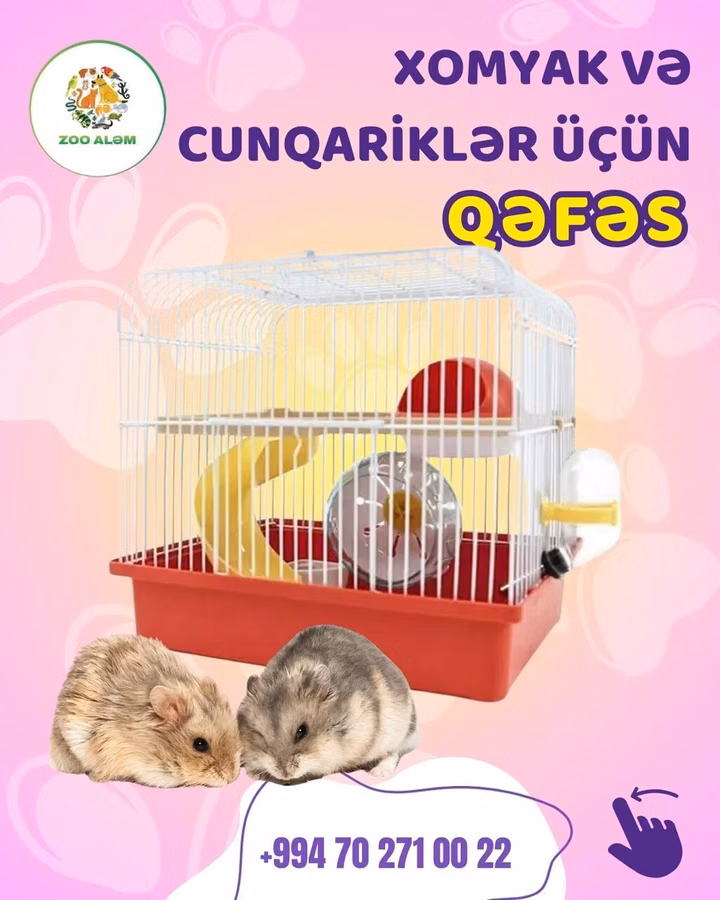 Xamyak və cunqarik qəfəsi. N156 Xomyak ve cunqarikleriniz üçün maraqlı