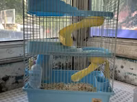 Hamster və balaca gəmiricilər üçün qəfəs - Rəng: açıq mavi plastik — foto 2