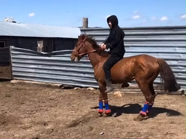 ม้าตัวผู้, Kazakh horse — คาซัคสถาน