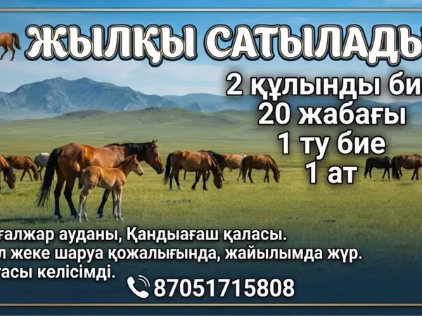 Kuda betina, Kazakh horse — Kazakhstan