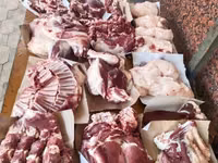 Kambing jantan, Sheep — foto 4
