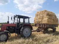 Продам тюки сена, соломы — फ़ोटो 1