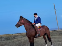 घोड़ा, Kustanai horse — फ़ोटो 3