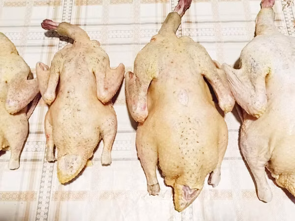 Продаются мясо немых уток