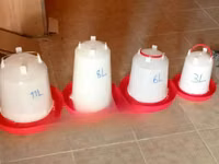 Plastic Drinkers and Feeders — foto 1