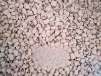 Ghanaian Local Beans — फ़ोटो 3