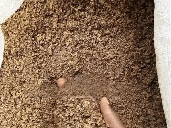 Cotton Cake (Mashudu Ya Pamba)