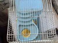 Hamster və balaca gəmiricilər üçün qəfəs - Rəng: açıq mavi plastik — foto 3