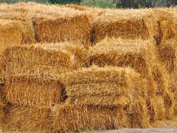 Продаю ячменную солому в тюках! Тюки плотные большие, продаю по штучно