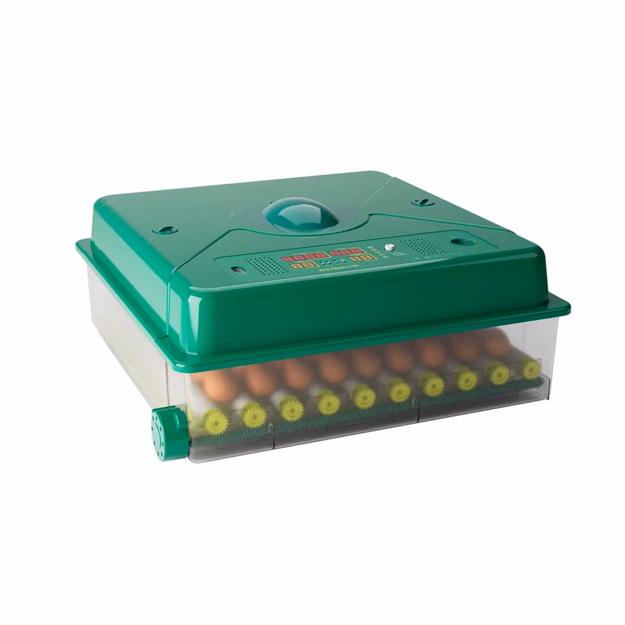 Incubator De Oua Des Champs Eco Profi C-70 - 4f - livrare / credit / agroteh
