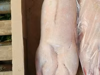 Продаю тушку гуся — फ़ोटो 2