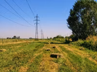 Продаём тюки РАЗНОТРАВЬЯ Укос: 3 укос 2026 год Кол-во: ~250 штук — fotografija 1
