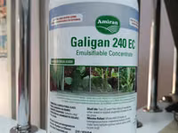 Galigan 240ec Selective Herbicide For Onions 1l — 照片 1