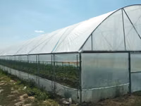 Vindem constructie module de sera solar cu pereti drepti — 照片 4