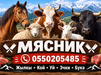 Услуги мясника/касатчы для забоя и разделки скота на выезде. Работаем — 1 зураг