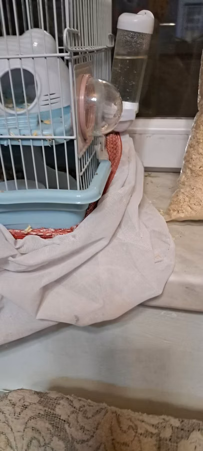 Hamster üçün tam dəst qəfəs - Rəng: açıq mavi altlıq, ağ barmaqlıq -