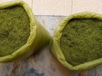 Animal Feed - Moringa Chaff — foto 3