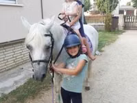 Kuda betina, Horses — foto 6