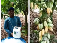 Organic Liquid Fertilizer (Super Gro) — foto 2