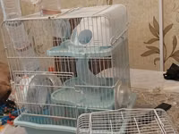 Hamster üçün iki qəfəs dəsti - Böyük modul qəfəs: çoxmərtəbəli — foto 3