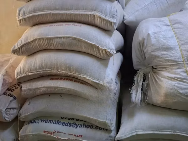 Feeds for All Animal Farms and Poultry