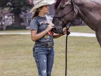 Aygʻir, Quarter Horse — 5-rasm