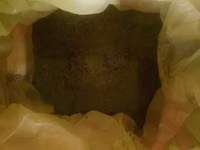 Moringa Leaf Powder for Animals Feeds — foto 2