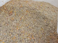 Corm — फ़ोटो 1