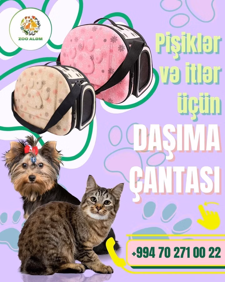 Pişiklər və itlər üçün daşıma çantası. Balaca dostlarınız üçün dəbli