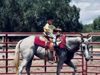 母马, Quarter Horse — 照片 8