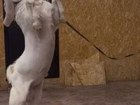 Oğlak, Gulabi goats — foto 3