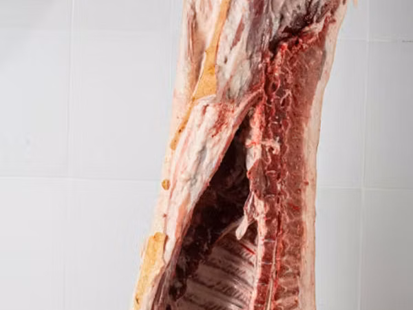 Vand carcasa de porc 75 lei kg