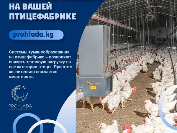 🌟 Преобразите вашу птицефабрику с системой туманообразования! 🌟 🔧