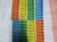 100 Pack Multicoloured Goat Tags — foto 2