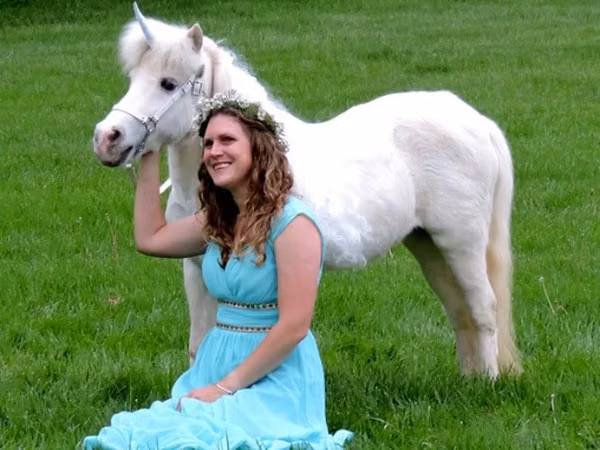 Sto, Miniature horse
