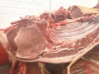 Продажа мясо свинины 猪肉批发及零售 Есть все всегда в наличии. мясо свинина — புகைப்படம் 4