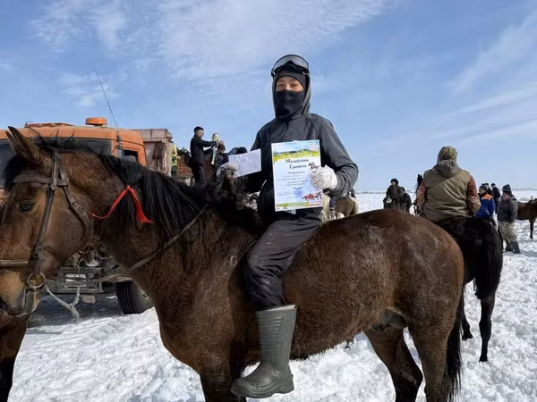 اسب نر, Horse breed