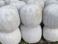 Corn Silage — фото 3