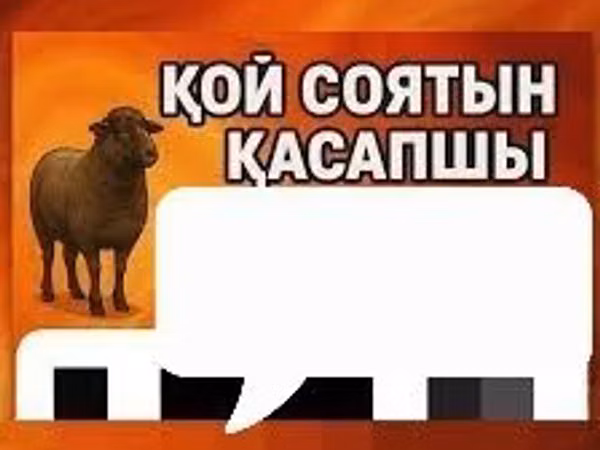 Kambing jantan, Sheep — Kazakhstan