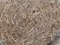 körbálás csutka — फ़ोटो 3