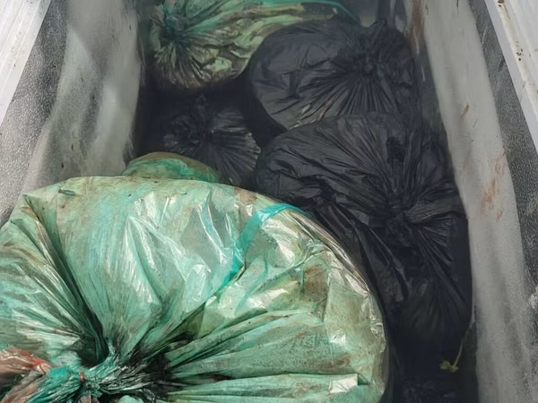 Продаём внутренности радужной форели разного веса. Всё время хранятся