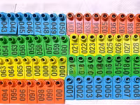 100 Pack Multicoloured Goat Tags — foto 1