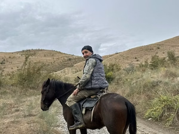 Horse (M), Azerbaijan horse — Azerbaijan