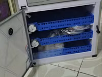 Automatic Egg Incubator/ Electric 204eggs Capacity Ac/Dc Incubator — Foto 2