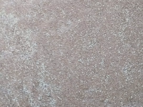 6-7 ton buğda. Qiymət 40 qəpik