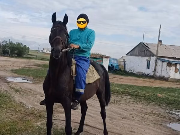 Horse (M), Horses — Kazakhstan